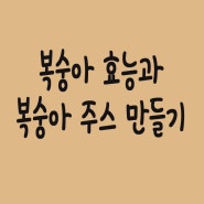 복숭아 효능과 발효 복숭아 주스 만들기