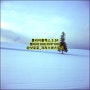 홋카이도 비에이 크리스마스 나무 롤라이플렉스 벨비아 슬라이드필름사진
