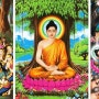 태국보다 한국에 부처님이 1주일 먼저 오셨나? -부제 : 한국과 태국의 부처님 오신날이 다른 이유