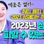 의정부소월당01055582887》2023년 삼재인 쥐띠용띠,원숭이띠분들은 가시던길 멈추고 이 영상부터 보고가세요~! 계묘년에 액운은 저 멀리로~삼재를 피할 수 있는 방법