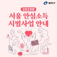 서울 안심소득 시범사업 2단계 참여 가구 모집
