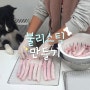 보더콜리 강아지 간식 한우 불리스틱 만들기 + 먹방
