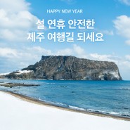 [설 인사] 여러분~ 새해 복 많이 받으세요♡