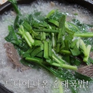 [제천맛집]우성순대본점, 순대국밥의 전국 최대성지! 낮술하기 좋은곳