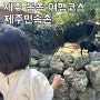 제주 동쪽 여행코스 제주민속촌 아이랑 가볼만한곳이에요