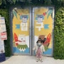 [인천/ 서구 청라] 실내동물원, 먹이주기체험, 아이랑 가볼만한 키즈카페 "쥬라리움"