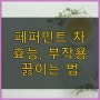 페퍼민트 효능, 부작용, 카페인, 차 끓이는 법 - 집중력, 소화불량, 임산부 등 (feat. 기관지)