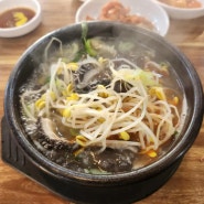 경기도 화성 새솔동 송산그린시티 해장국 맛집 추천 #양평해장국 송산그린시티점