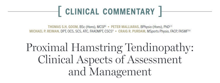 Proximal hamstring tendinopathy (Tom Goom et al. 2016) : 네이버 블로그