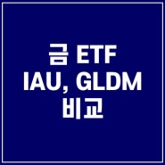 IAU, GLDM ETF 금 투자 비교