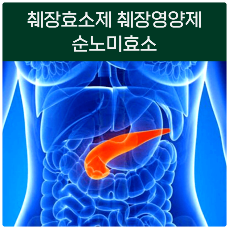 췌장효소제 췌장 영양제 순노미효소 : 네이버 블로그