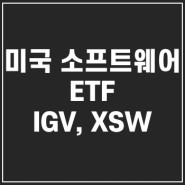 IGV XSW ETF 미국 소프트 웨어