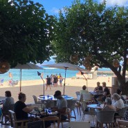 2022 우당탕탕 하와이 우정여행 | day 3 - 하와이 뷰맛집 브런치 레스토랑, 하우트리(Hau Tree)