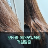 헤어에센스_헤어오일세럼_보타랩_데저티콜라_리만코리아 1월 신제품