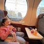 오사카에 난바에서 라피트 특급열차 슈퍼시트타고 간사이 공항가기!!