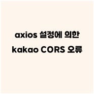 axios.defaults.withCredentials에 의한 Kakao CORS오류