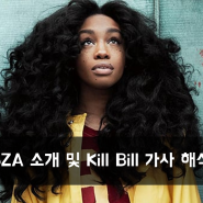 [Artist] SZA 아티스트 소개 및 Kill Bill 가사 해석