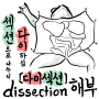 dissection --> 이 단어를 모르십니까?
