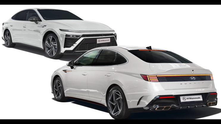 화이트 소나타 2023