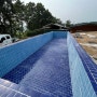 수영장 타일 시공/ How to tile a swimming pool/ in Korea