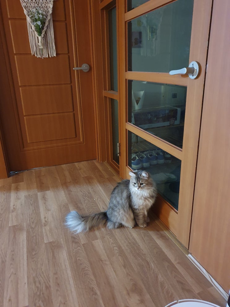 2023.01.21 - 휴가 4일차 / 라오어 드라마 1화 (V-12)(D+238) : 네이버 블로그