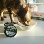 고양이 결석관리, 처방식 습식사료 벨릭서 U/C 한컵으로 간편하게 챙겨주세요