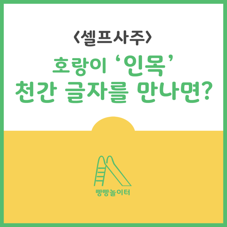 [셀프사주] 십이지지 인목의 특징 / 인목과 천간의 관계 : 네이버 블로그
