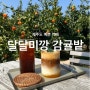 제주도 애월 카페 달달미깡 감귤밭 feat. 귤체험 인생샷 가능