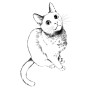 미숀 일러스트) 귀여운 고양이 러시안 블루 그림/ 향수 제품 포장 디자인