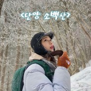 [충북 단양] 겨울 소백산 최단코스 어의곡 코스 등산후기