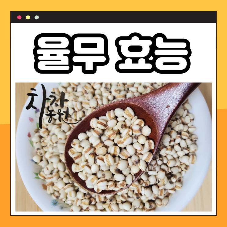 볶은 율무로 율무차 만드는 방법, 율무의 효능과 율무 부작용, 율무 속설에 대한 견해 : 네이버 블로그
