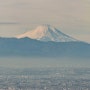 도쿄 스카이트리 _ 후지산 보이는 전망대 _ 450m 높이 _ 가장 높은 전망대