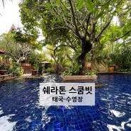 [태국] 쉐라톤 그랜드 수쿰윗 A 럭셔리 컬렉션 호텔 - 수영장편