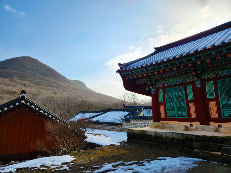 천년고찰, 고창 선운사(입장료 및 소요시간) : 네이버 블로그