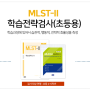 학습전략검사 MLST-II