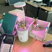 홈파밍 식물키우기 추천, 팜인팜 LED 식물재배기 플랜테리어 후기!