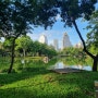방콕_룸피니 공원
