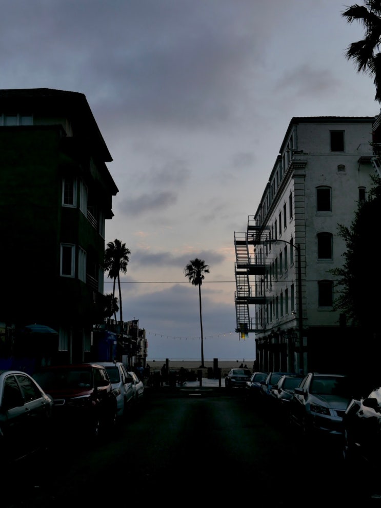 미국 서부여행 | LA, 애봇키니, 베니스 비치(Venice Beach), 라이트하우스....