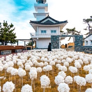 경주 송대말등대 빛체험전시관까지 고민 필요없는 감포여행코스