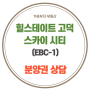 평택 힐스테이트 고덕 스카이시티 EBC1 분양권 상담