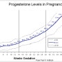 임신, 난임에 체크해야 할 호르몬 '프로게스테론'