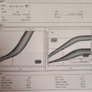 아이 키 성장검사 하고왔어요
