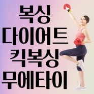 <보라동 복싱> 킥복싱 무에타이로 다이어트와 호신술을 배워요!