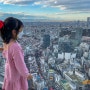 도쿄 가볼 만한 곳, 지상에서 230미터 높이! 도쿄 시부야 스카이(Shibuya Sky) 전망대