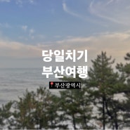 [부산여행] 다이나믹 당일치기 부산 여행