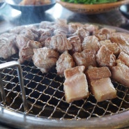 제주 흑돼지 맛집 복자씨연탄구이 전부 마싯쏘 (흑돼지,김치찌개,열무국수)