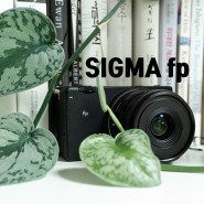 시그마 fp, 간편한 풀프레임 미러리스 SIGMA fp 사용기