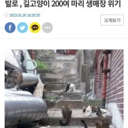 ◆동작구 흑석동 재개발 길고양이 기사 떳어요 (뉴스, 신문에 제보 부탁드려요! (◆이메일 간편 복붙 가능!/ 집사님들, 아이들 위해 5분만 시간내주세요)