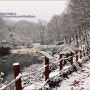 수원 광교산 겨울, 수원 여행