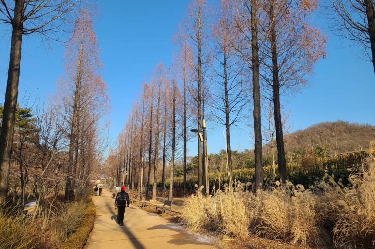 서울 산책하기 좋은곳 구로구 푸른수목원과 항동철길!